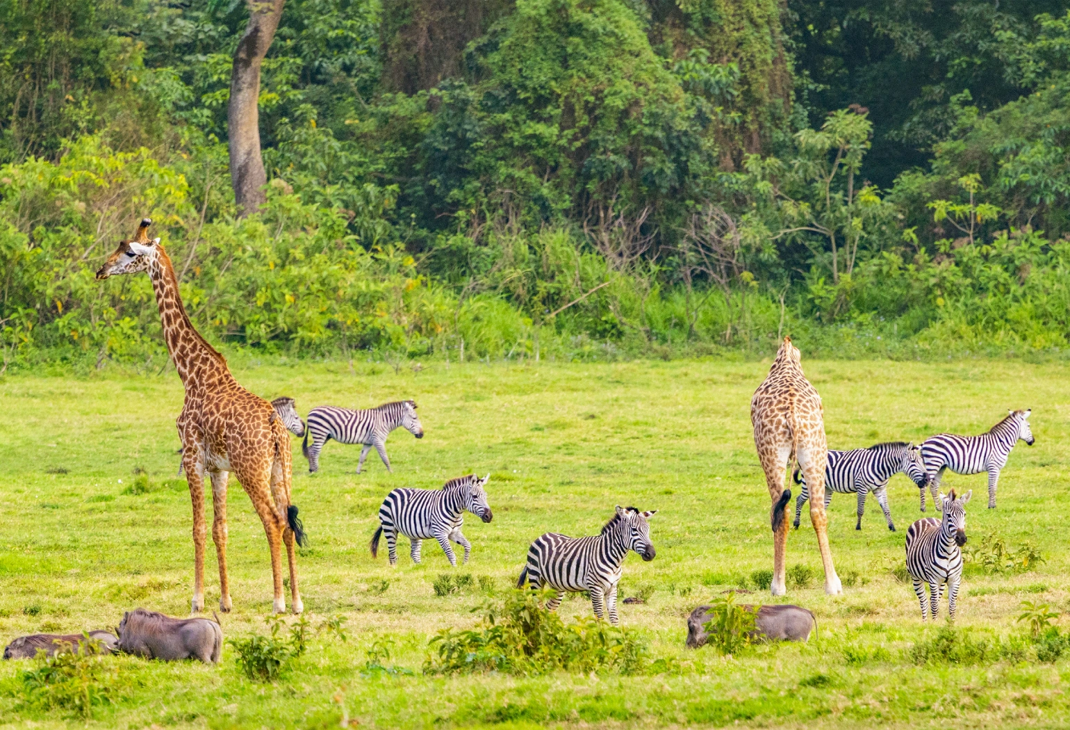 Arusha National Park Day Trip Attractions 
