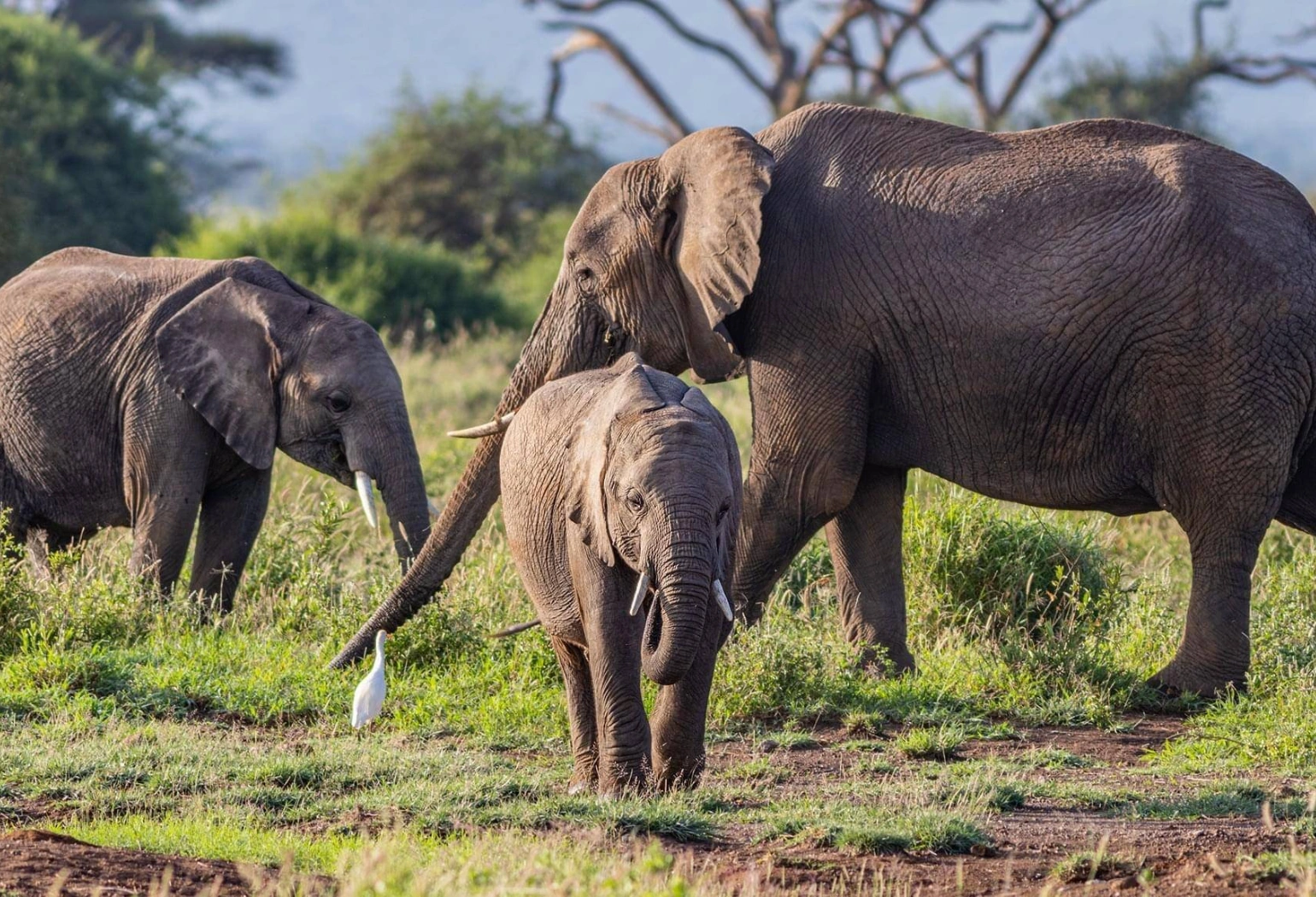 Arusha National Park Day Trip Attractions 