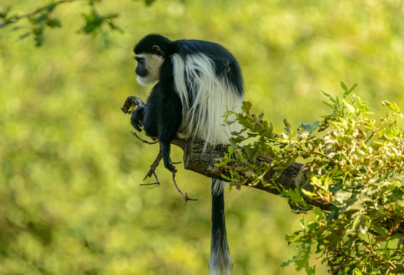 Arusha National Park Day Trip Attractions 