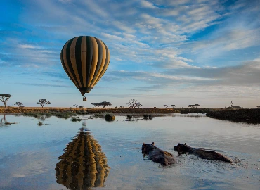 Hot Air Balloon Safari 