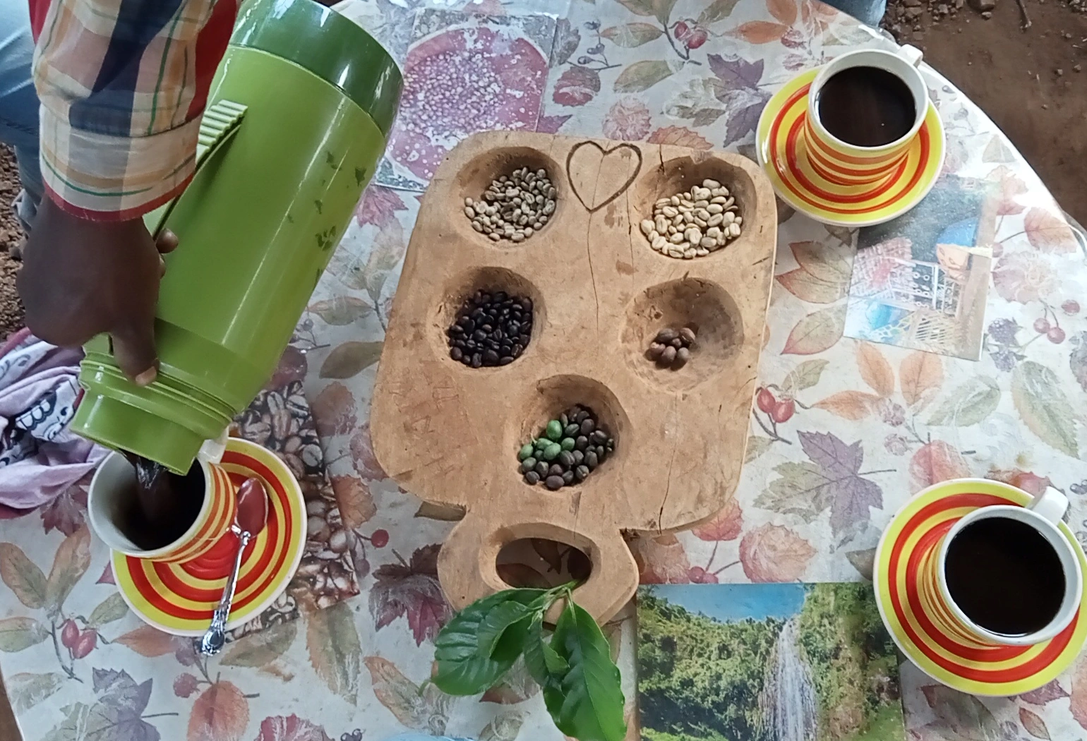 Materuni Waterfalls Attractions 