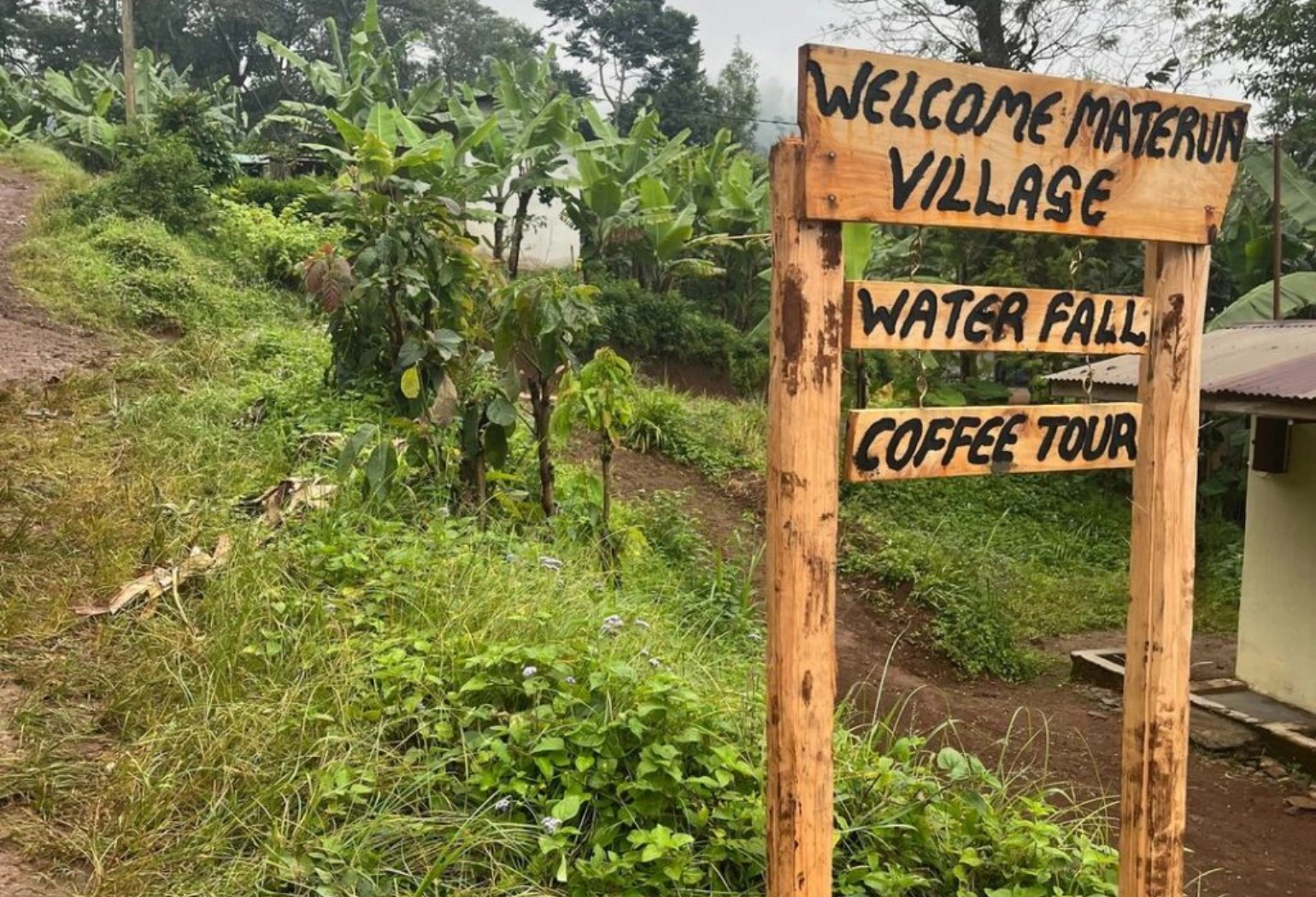 Materuni Waterfalls Attractions 