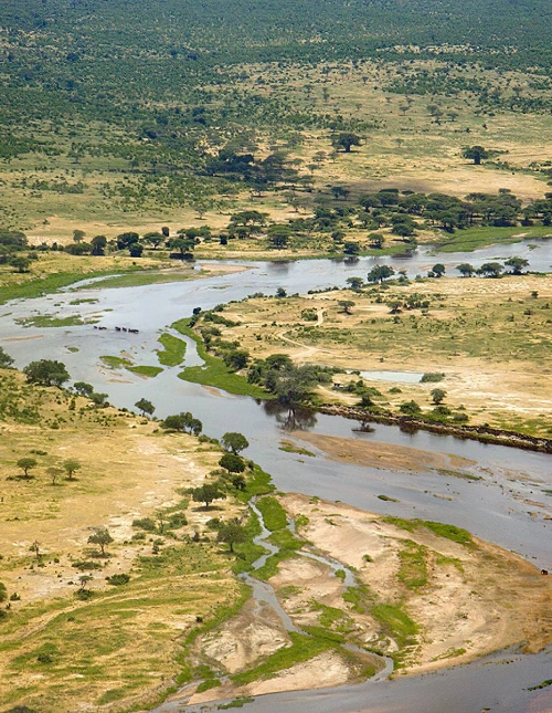Great Ruaha River