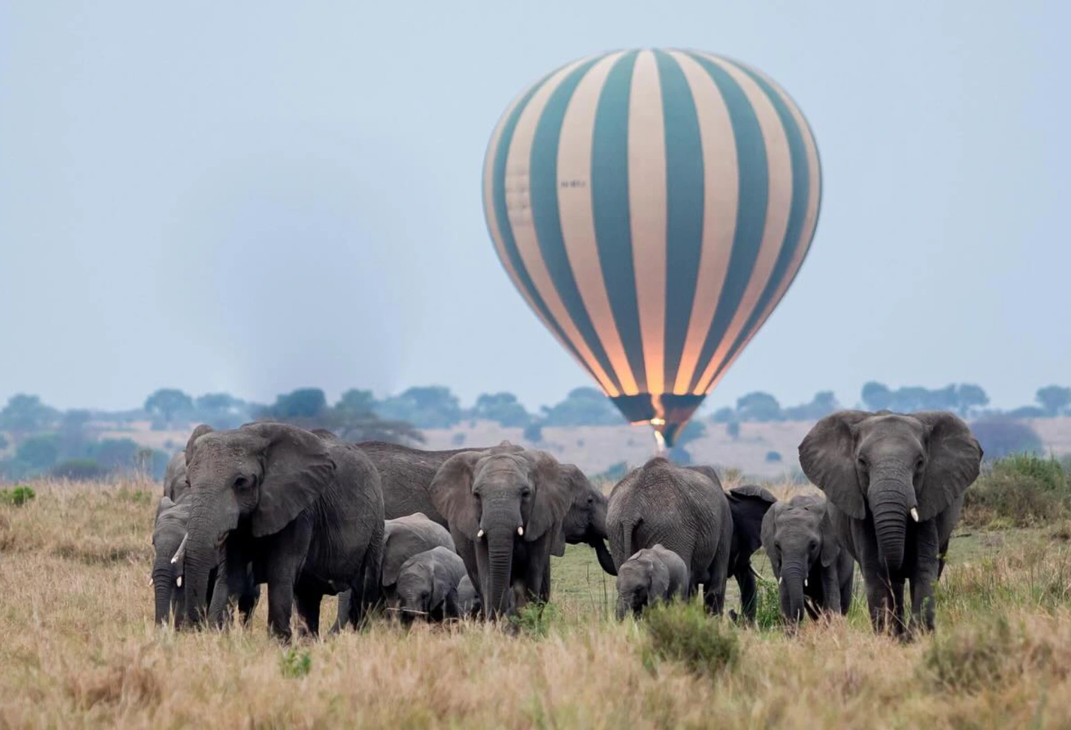 Serengeti Balloon Safari Attractions 