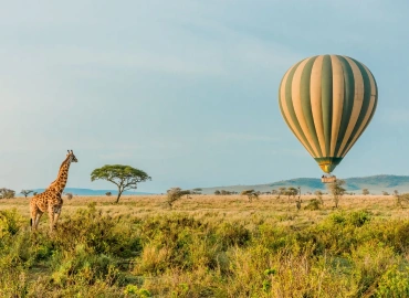Tanzania Safari Cost 